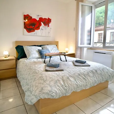 Le Palmier, A Cozy Haven In Petite Rome Apartment Vienne (Isere)
