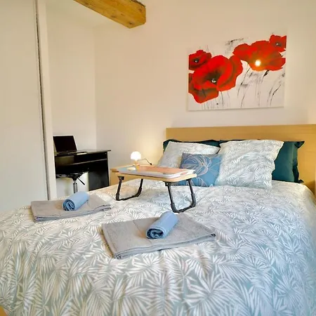 Appartamento Le Palmier, A Cozy Haven In Petite Rome Vienne (Isere)