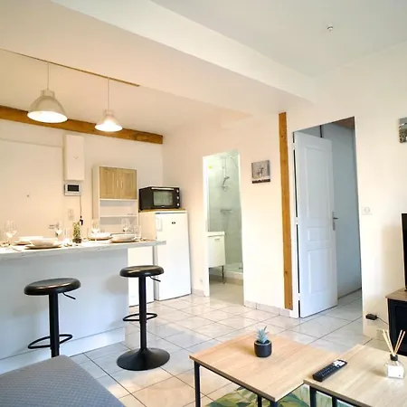 Le Palmier, A Cozy Haven In Petite Rome Appartamento Vienne (Isere)